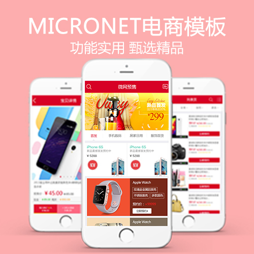 MICRONET΢W(wng)̳2016ģ